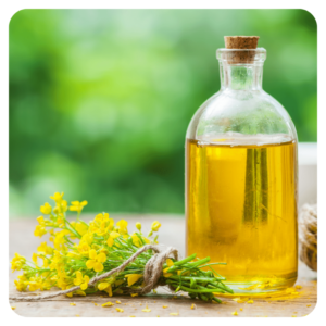 100% PURE REFINED CANOLA OIL/ RAPESEED OIL