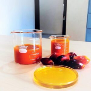 SUPERIOR QUALITY CRUDE AND REFINED PALM OIL