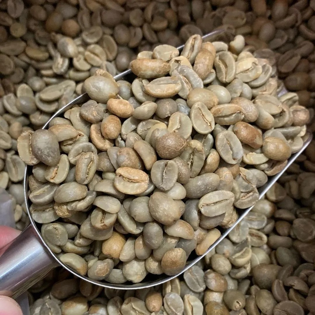 Coffee Beans - Image 2